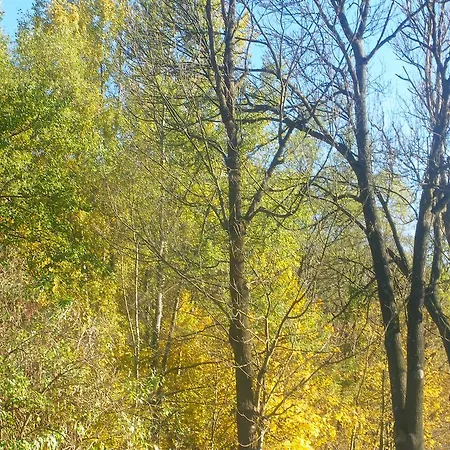 Osrodek Wypoczynkowy Ognisko 2* Krynica-Zdrój